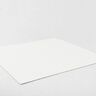 Felt 45cm / 4mm thick – offwhite,  thumbnail number 2