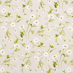 Coated Cotton daisies – natural/white, 