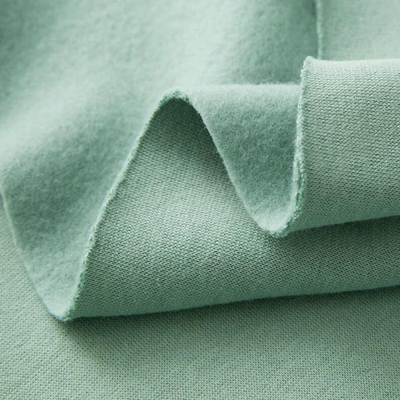 Brushed Sweatshirt Fabric – reed,  image number 4