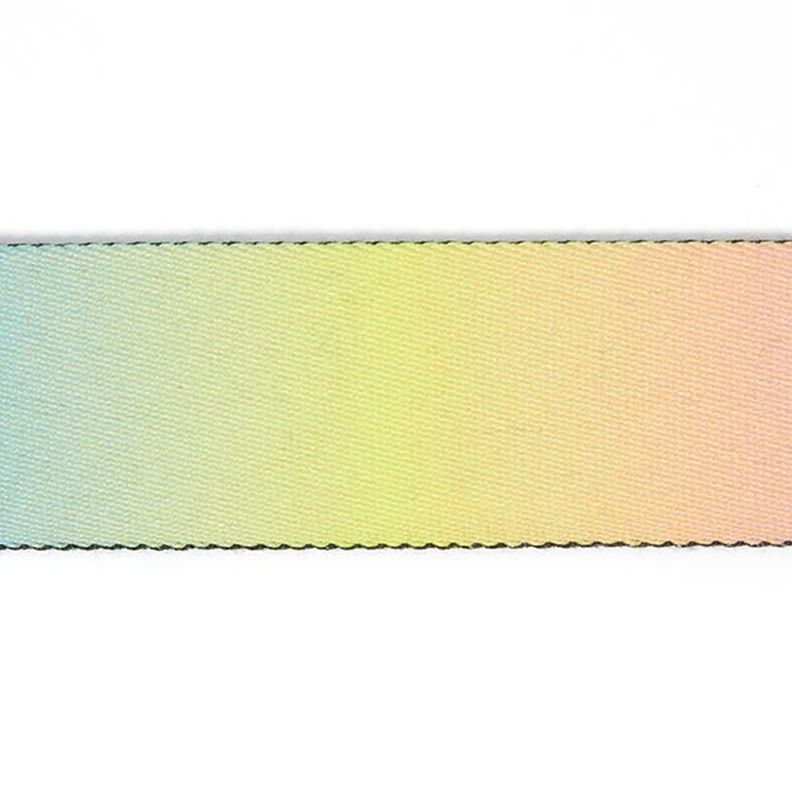 Rainbow Belt Webbing | Made In-House,  image number 2
