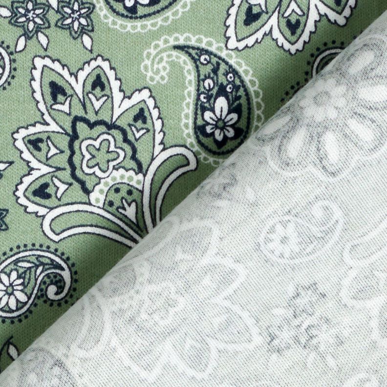 Cotton Jersey Paisley – reed/white,  image number 4