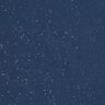 Cotton Poplin Foil Print Silver speckles – midnight blue/metallic silver,  thumbnail number 1