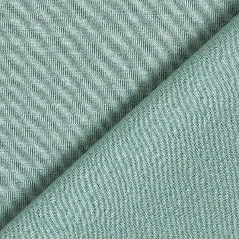 Bamboo Viscose Jersey Plain – reed,  image number 5