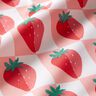 Coated Cotton strawberry checks – rosé/red,  thumbnail number 3