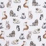 Cotton Poplin happy cats Digital Print | Poppy Fabrics – white,  thumbnail number 1