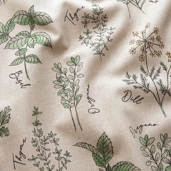 Decor Fabric Half Panama kitchen herbs – natural/green,  image number 2