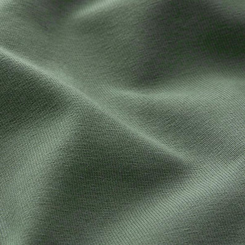 Medium Cotton Jersey Plain – pine,  image number 4