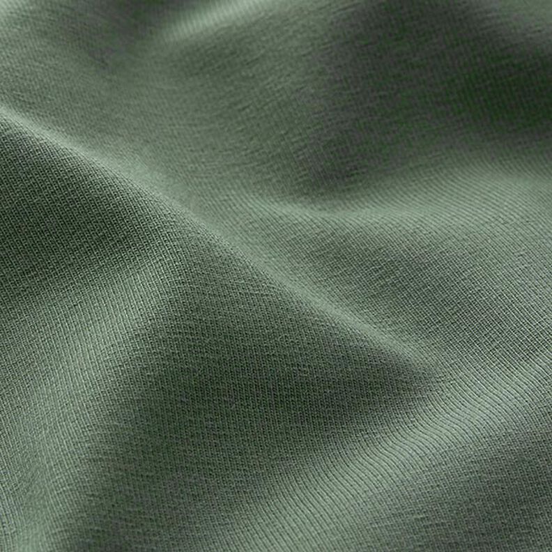 Medium Cotton Jersey Plain – pine, image number 4