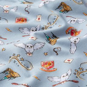 Cotton Jersey Harry Potter Wizarding World | Warner Bros. – light blue, 