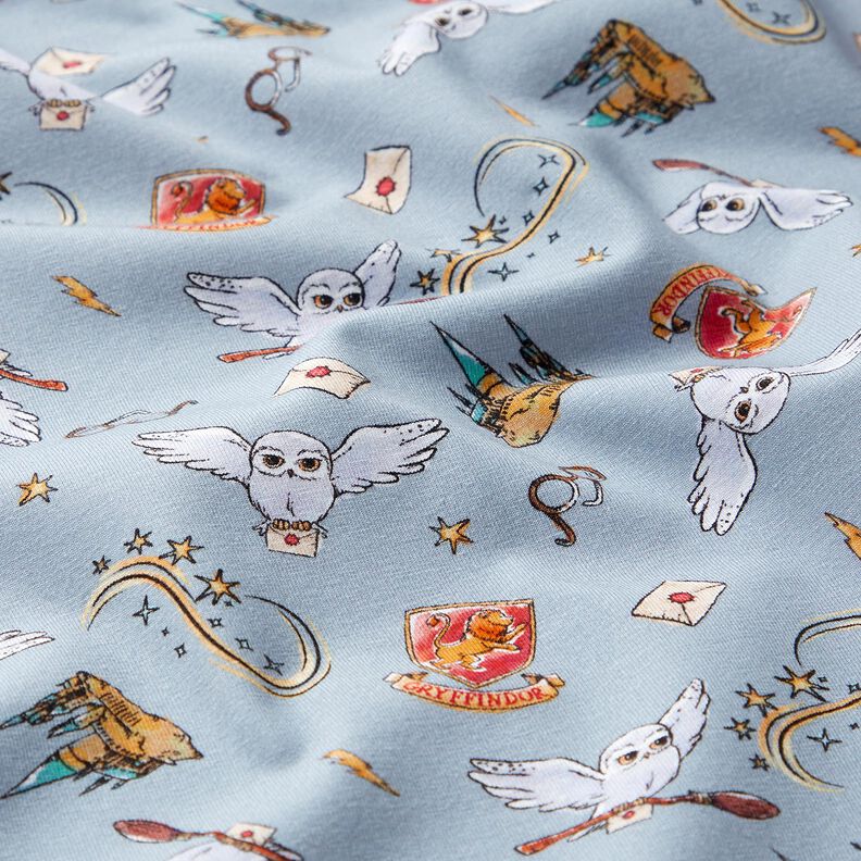 Cotton Jersey Harry Potter Wizarding World | Warner Bros. – light blue,  image number 2