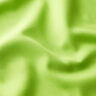 Decor Fabric Canvas – apple green,  thumbnail number 2