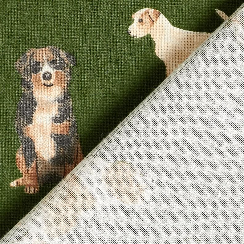 Decor Fabric Half Panama cute dogs – pine/brown,  image number 4