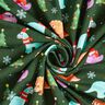 French Terry Baby dinosaur in Christmas spirit | Glitzerpüppi – dark green/chili,  thumbnail number 3