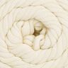 Cotton Jersey, 100 g | Schachenmayr (00002),  thumbnail number 2