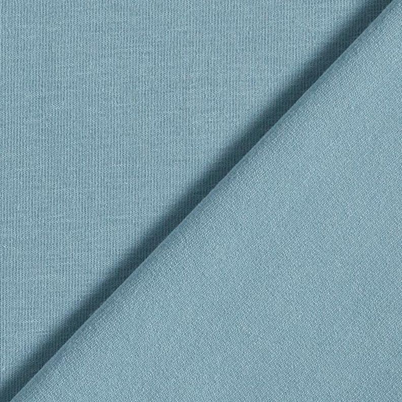 GOTS Cotton Jersey | Tula – dove blue,  image number 3