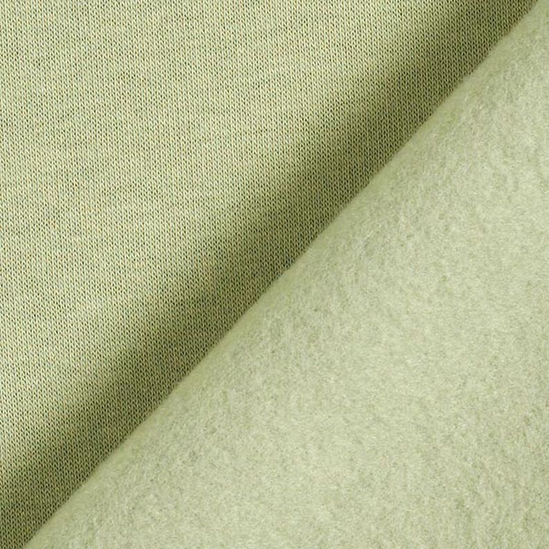 Brushed Sweatshirt Fabric – pistachio | Remnant 120cm,  image number 5