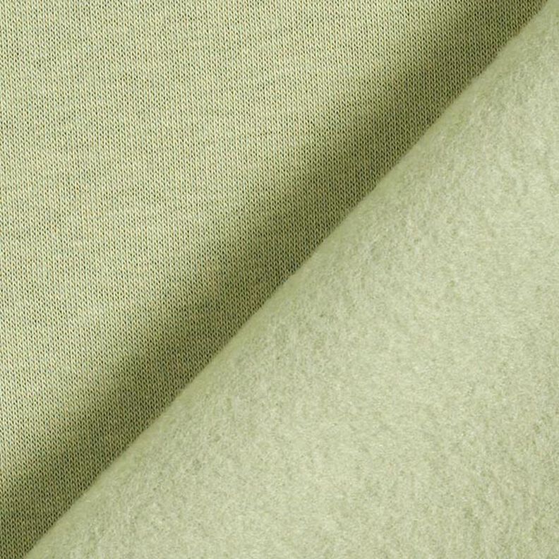 Brushed Sweatshirt Fabric – pistachio,  image number 5