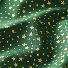 Cotton Cretonne Starry Christmas Sky, small – dark green/gold, 