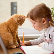 Back to school - Animal ideas