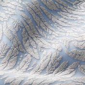 Scuba fabrics