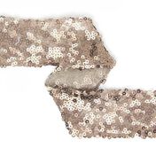 Sequined Trimmings